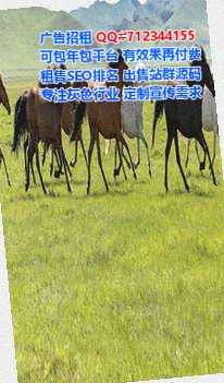宝坻代母网络工作室